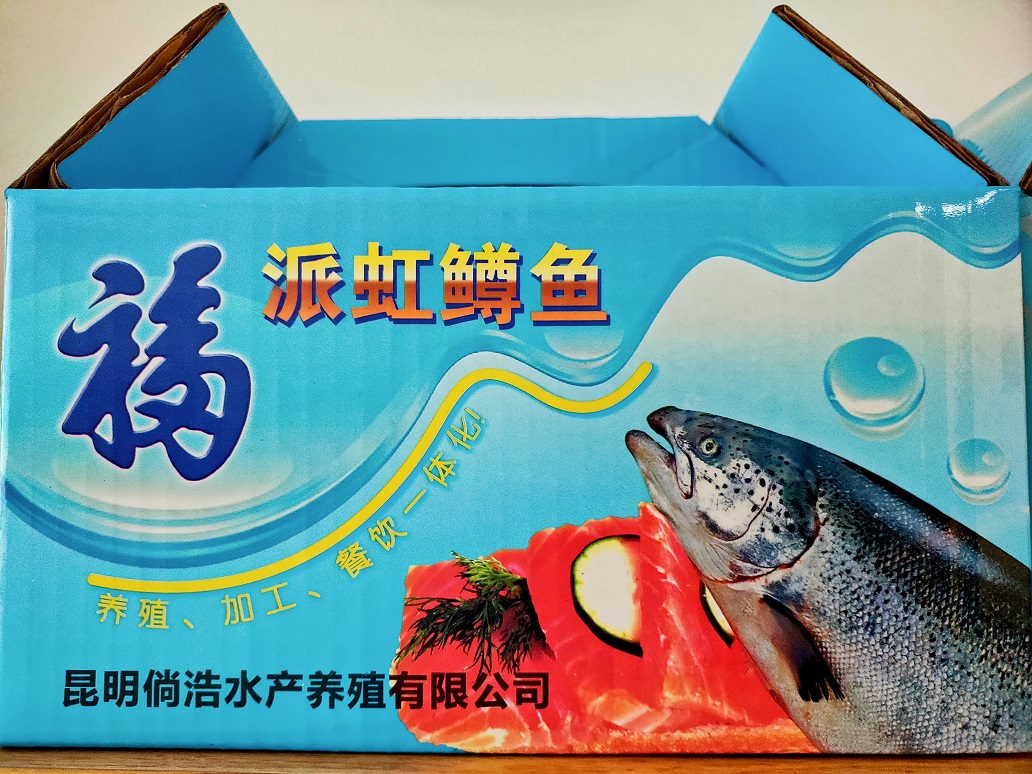 福派虹鱒魚